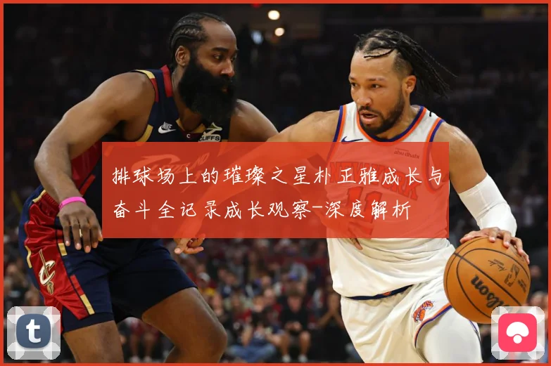 排球场上的璀璨之星朴正雅成长与奋斗全记录成长观察-深度解析