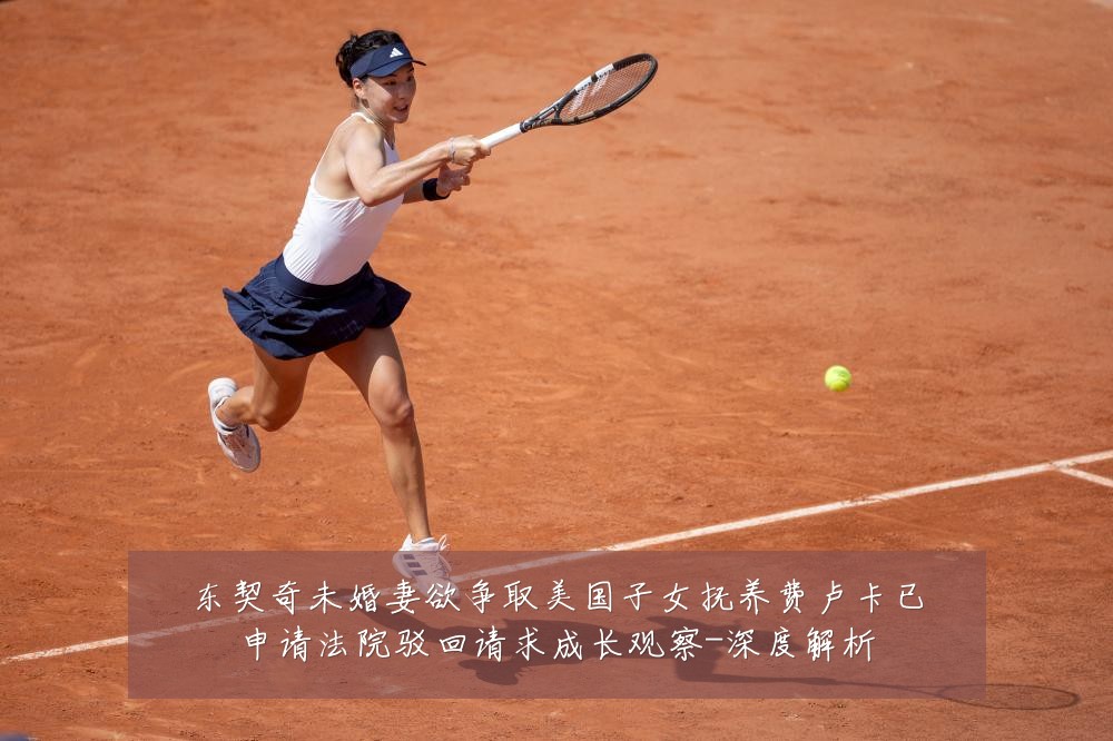 东契奇未婚妻欲争取美国子女抚养费卢卡已申请法院驳回请求成长观察-深度解析